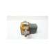 075sma11-aa11-bb21a0-usd-maxon
