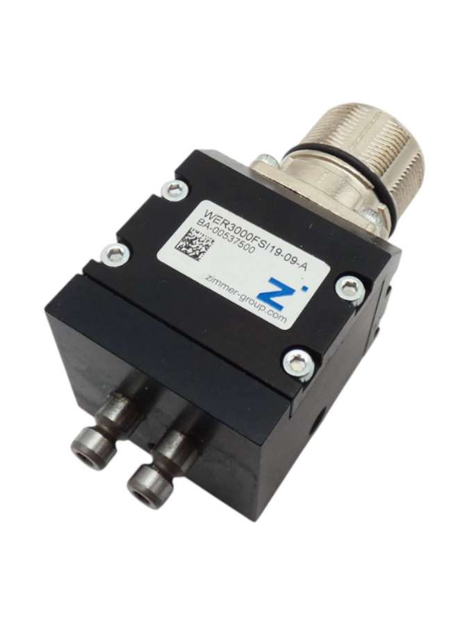 wer3000fsi19-09-a-zimmer group
