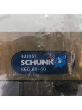 303061-usd-schunk