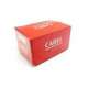 aset030000-carel