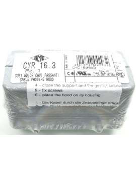 cyr 16.3 pz.1-ilme
