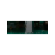 0204202548-usd-num