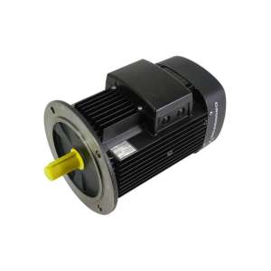 MG100LB4-28FF215-H3 GRUNDFOS