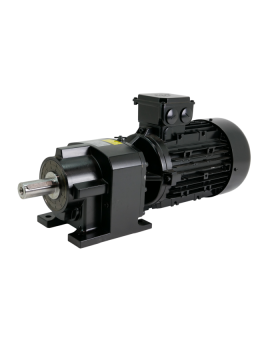 sk 572.1-100lp/4 tf-nord