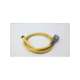 106002a01f060-usd-woodhead