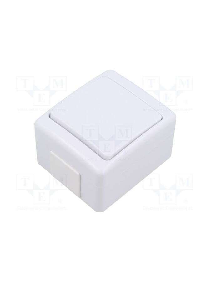 d.3110w-pawbol