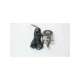 d40ml-ss1-u-5m-sti