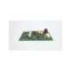a20581-e-usd-stock