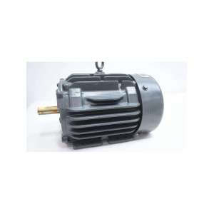HD1P2E US MOTORS