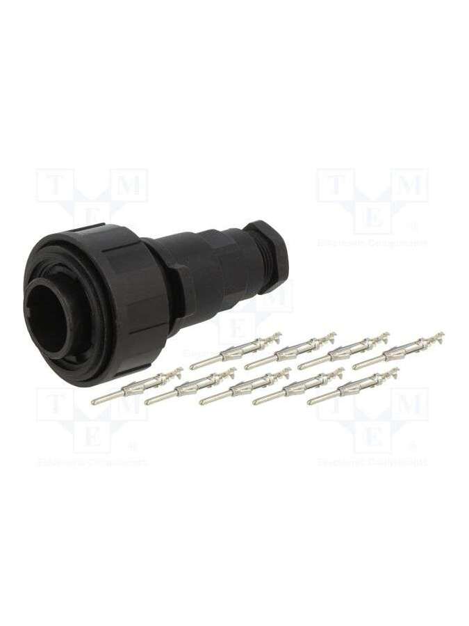 pxv0728/p-bulgin