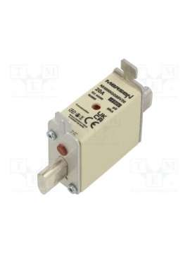 nh000gg69v20-mersen