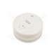 cdm-07-w-f&f