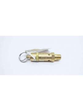 fig112css-kingston