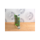 bg500016-setex