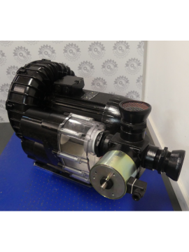 a314913-usd-becker