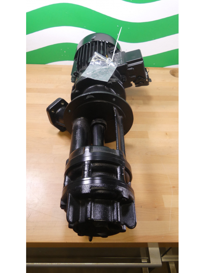 sal402/270+619-usd-brinkmann pumps