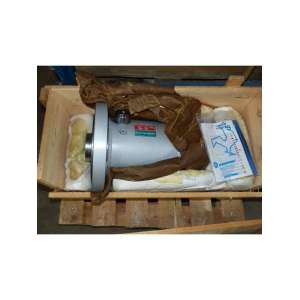 300-20003-01 HANCHEN HYDRAULIK USADO