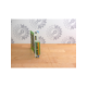 sp123/0 bg 500007-usd-setex