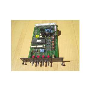 RS1000 PMC