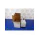b1008650-usd-fanal