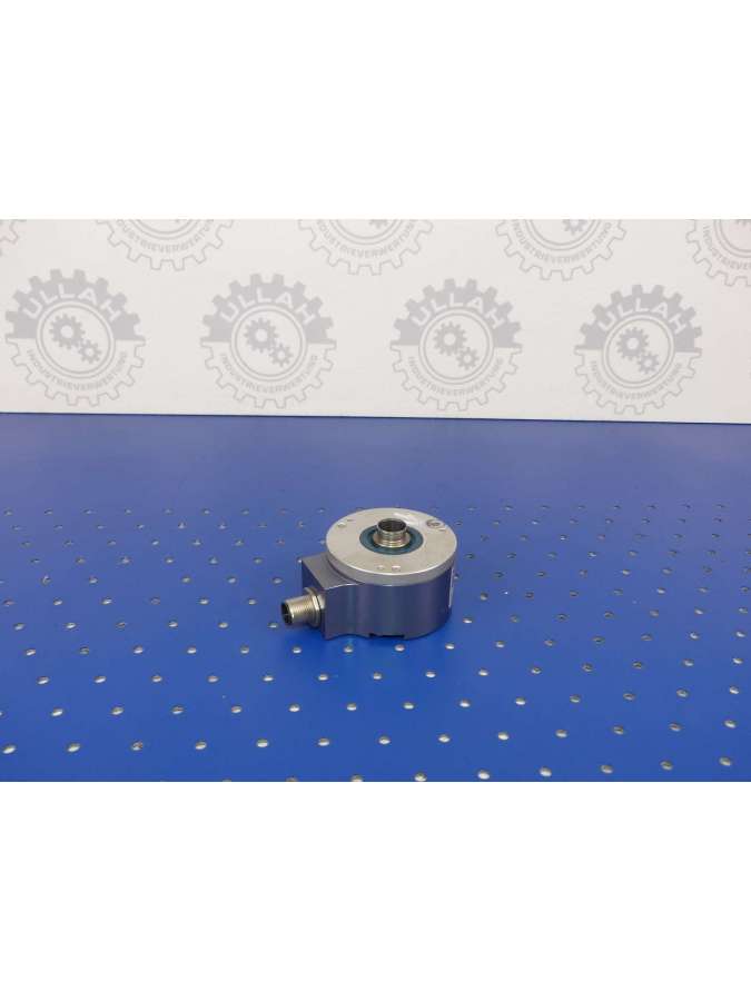 519067-02-usd-leine linde