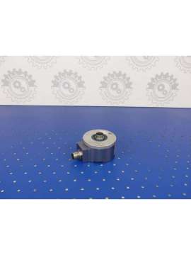 519067-02-usd-leine linde