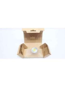 e43311-ifm efector