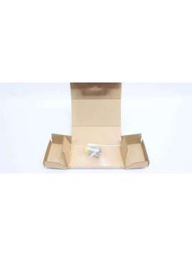 e43313-ifm efector