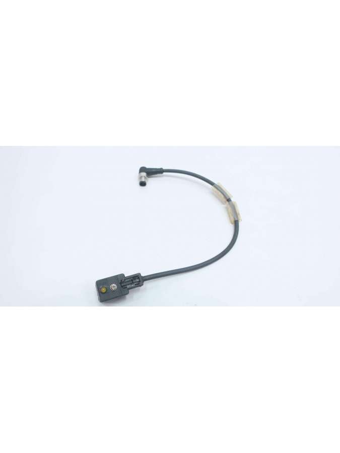 e10819-ifm efector