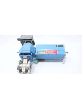 r21ca01ajjk-usd-neles