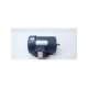 c6t17fb14d-leeson