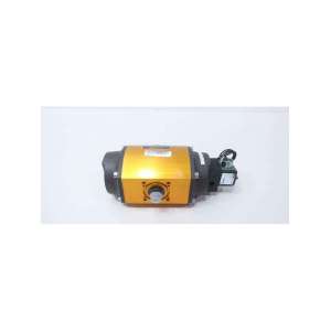 2039SW24DR6 FLOWSERVE