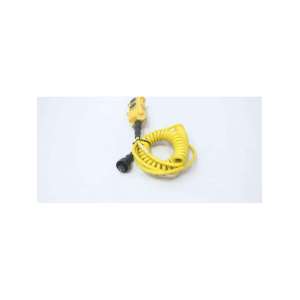 HS61 AUSPICIOUS USED