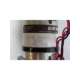 455a104-2-globe motors
