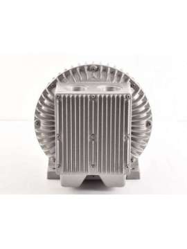 skp 30220-02 (03)-usd-rietschle