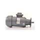 g052-20/d0 54-170-usd-bauer