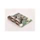 82-shib-000-usd-printar