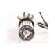 ww1331-13-usd-westwind