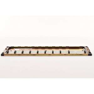 D4-O8B-1 AUTOMATION DIRECT USADO