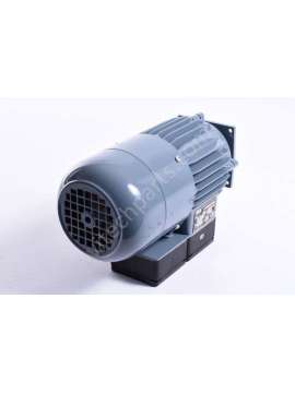 ocgf 632 td-usd-weg