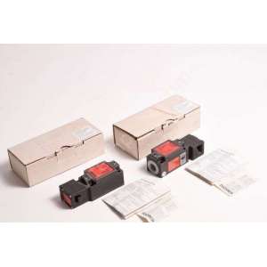 NZ1VZ-538E-M / Set of 2 EUCHNER