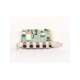 aa.0010.1.00731.00-usd-eagle