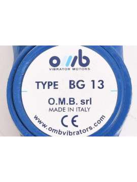 bg 13-usd-omb