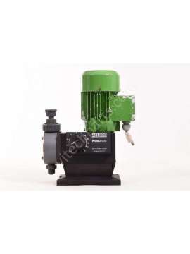 221-50-usd-alldos