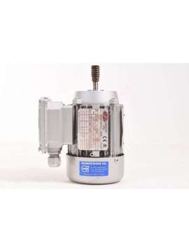 cs56b/4-usd-bonora
