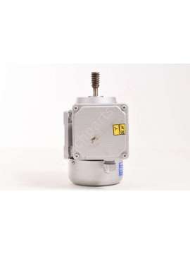 cs56b/4-usd-bonora