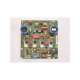 snt_21.091-usd-munk