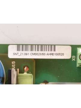 snt_21.091-usd-munk
