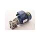 sp26324-usd-spz