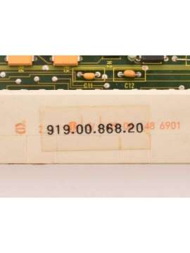 919.00.868.20-usd-plantine